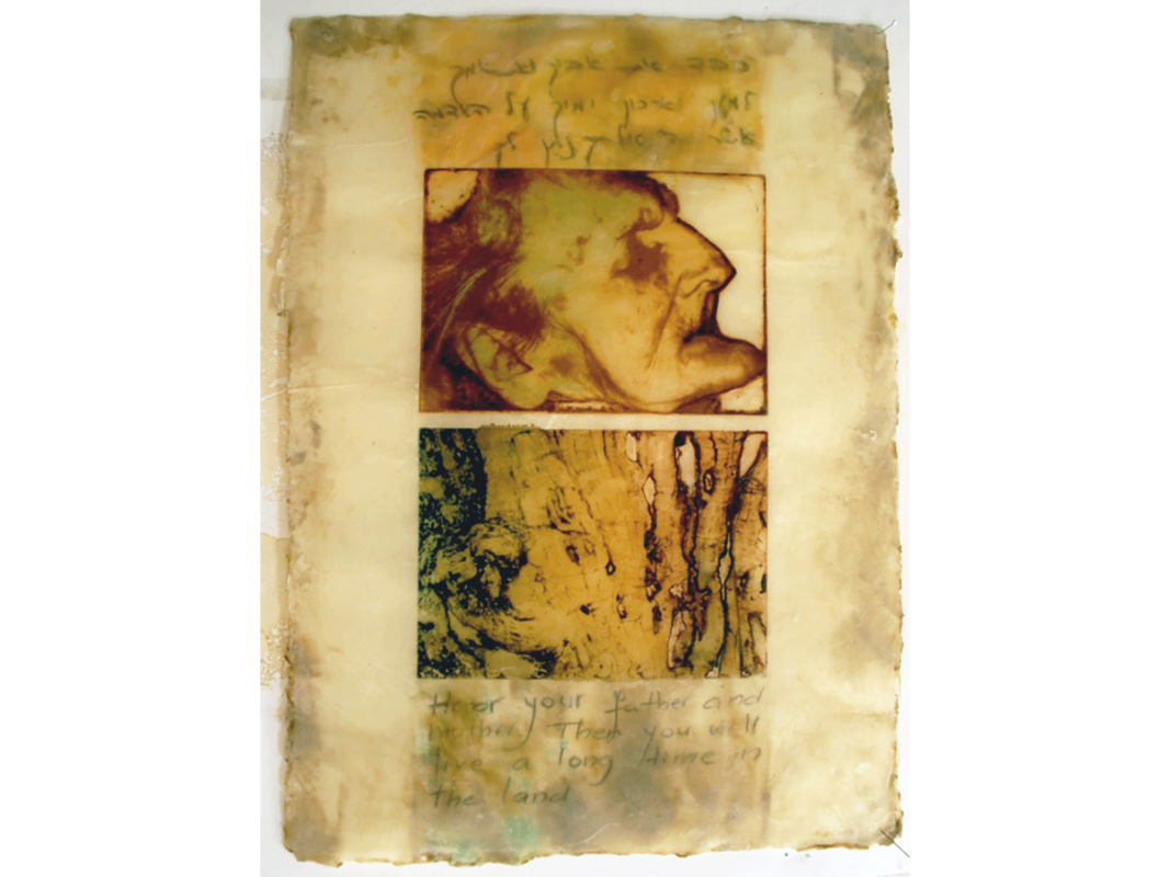 The artwork titled "Embedded Memories" was created in 2013 by Edna Kurtz Emmet. The image is a frayed piece of yellowish paper, and in the center is the drawn profile of an old, wrinkled white woman with wispy hair and a prominent chin. She is turned toward the sky, eyes closed and mouth slightly open. Below her profile is the drawing of a gnarled olive tree. Faded handwritten text frames the profile and the tree. At the bottom of the paper the text reads, "Honor your father and mother. Then you will live a long time in the land." The artwork is a solar print and encaustic on paper, 17 inches by 22 inches.