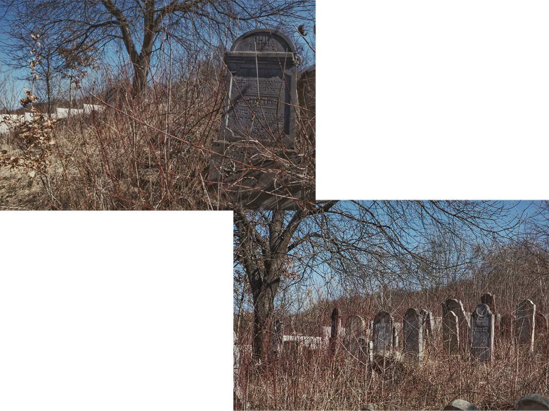 There are two different photographs on display, "Reconnecting" and "Remembering Those Who Lived These Lives." Both both are digital photographs created by Joe Baur in 2019. "Reconnecting" is the photo on the upper left hand side of the web page, and shows a gravestone inscribed with Hebrew text sitting along a wintry, overgrown hilltop on a sunny day. "Remembering Those Who Lived These Lives" is the photo on the bottom right hand side of the web page, and it depicts a cemetery or graveyard situated against a wintry overgrown hilltop on a sunny day. Many small twigs and tree branches fill the space in both images. Both photographs are 16 inches tall and 20 inches wide.